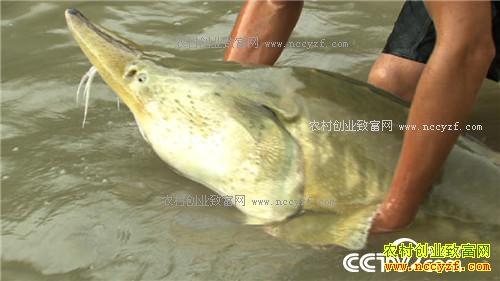 �¸��������ĲƸ������� ƫƫҪ�ڻ����(20171121)