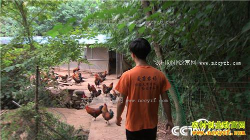 �¸��������Ź�������ɽ 90��С��׬��Ұ�Ƹ�(20171122)