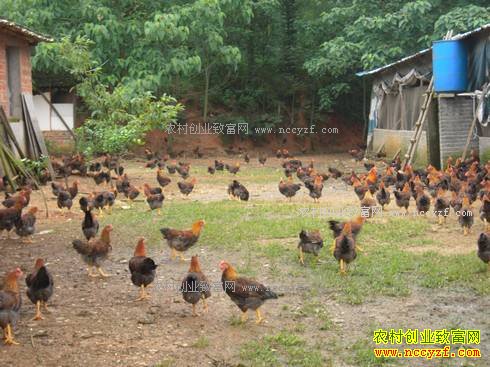 �㽭��Ȫ��ѧ����ΰ�조����ɽ�֡���ҵ������