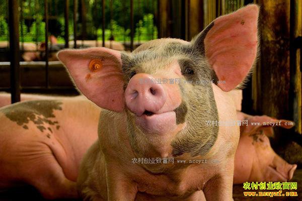 ����������������������ũ���¸�