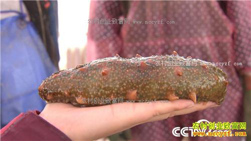 �¸�����ð������� ׬�þ��Ĳ�(20171124)