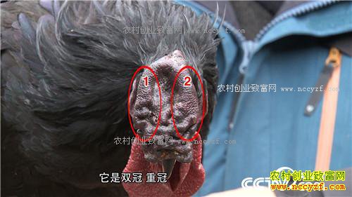 �¸�����ð������� ׬�þ��Ĳ�(20171124)