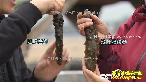 �¸�����ð������� ׬�þ��Ĳ�(20171124)