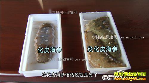 �¸�����ð������� ׬�þ��Ĳ�(20171124)