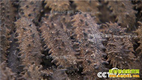 �¸�����ð������� ׬�þ��Ĳ�(20171124)