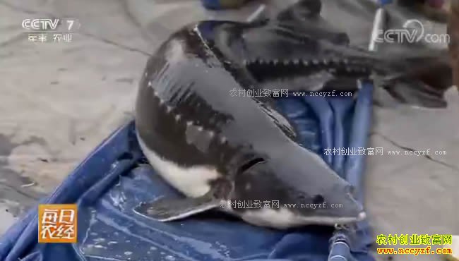 [ÿ��ũ��]��Һ������׬Ǯ��