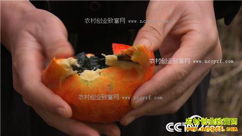 �¸���������Խ���� ��Խ��׬Ǯ(20171127)