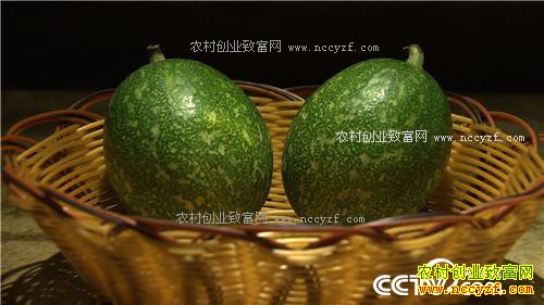 �¸���������Խ���� ��Խ��׬Ǯ(20171127)