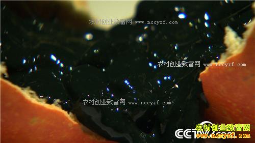 �¸���������Խ���� ��Խ��׬Ǯ(20171127)