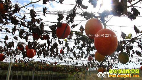 �¸���������Խ���� ��Խ��׬Ǯ(20171127)