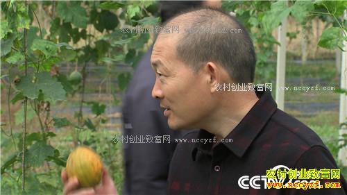 �¸���������Խ���� ��Խ��׬Ǯ(20171127)