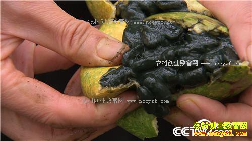 �¸���������Խ���� ��Խ��׬Ǯ(20171127)