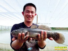 �㶫��ݸ���������������ֳ������������۶��ǧ��