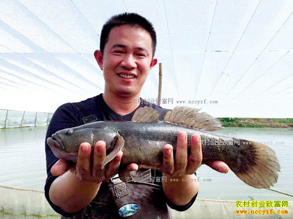 �㶫��ݸ��������ֳ���������� ��������������۶��ǧ��