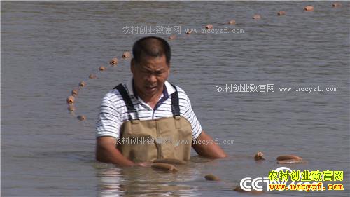 �¸�����ˮ���ջ� ˮ��׬Ǯ(20171129)