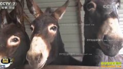 [�Ƽ�Է]���� ���� ���� ��¿һ�н�һ��