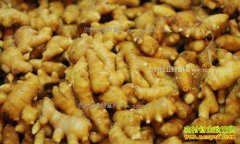 ����������������������������������