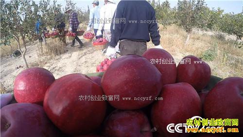 �¸�������Ϊ��ɫ֮�� �����г���ְ��(20171129)