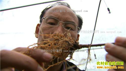 �¸�������Ϊ��ɫ֮�� �����г���ְ��(20171129)