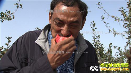 �¸�������Ϊ��ɫ֮�� �����г���ְ��(20171129)