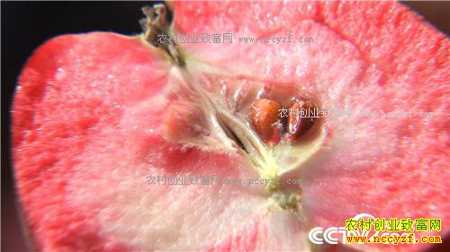 �¸�������Ϊ��ɫ֮�� �����г���ְ��(20171129)