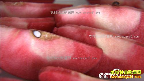 �¸�������Ϊ��ɫ֮�� �����г���ְ��(20171129)