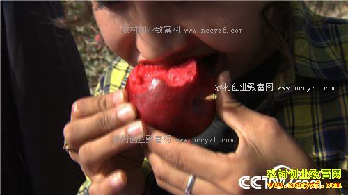 �¸�������Ϊ��ɫ֮�� �����г���ְ��(20171129)