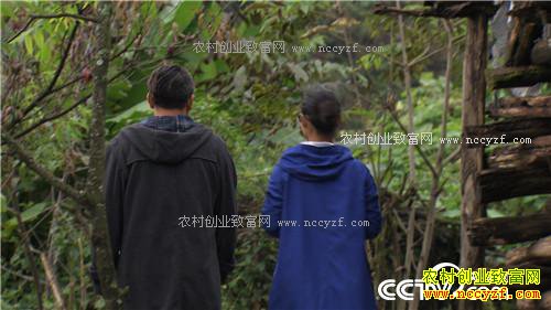 �¸�������Ů������ �Ƹ�ɽ����(20171130)