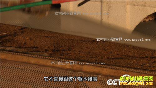 �¸�������Ů������ �Ƹ�ɽ����(20171130)