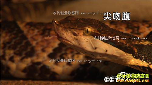 �¸�������Ů������ �Ƹ�ɽ����(20171130)