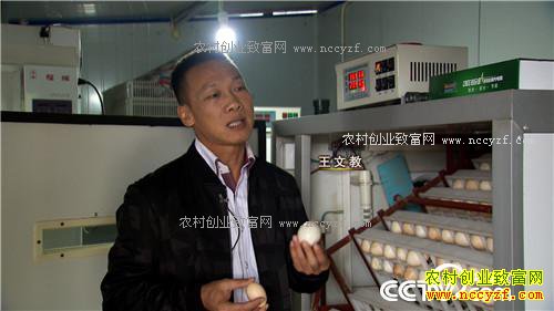 �¸�����������������Ǯ �������ǧ��(20171201)