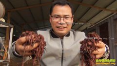 [�¸���]ɽ�������Գ�������� ţ����ɸ��500��