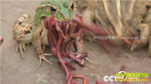 �¸�����Ϊ�޴�ҵ ����ɸ��500��(20171204)