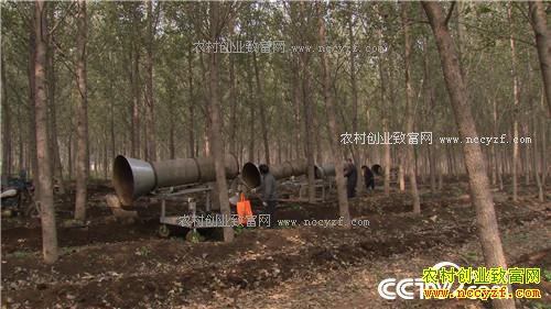 �¸�����Ϊ�޴�ҵ ����ɸ��500��(20171204)