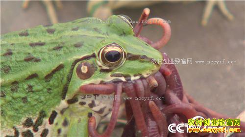 �¸�����Ϊ�޴�ҵ ����ɸ��500��(20171204)