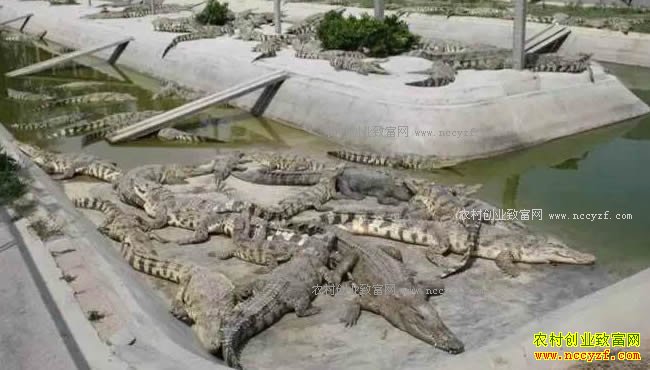 ���������п�������ֳ������¸�����