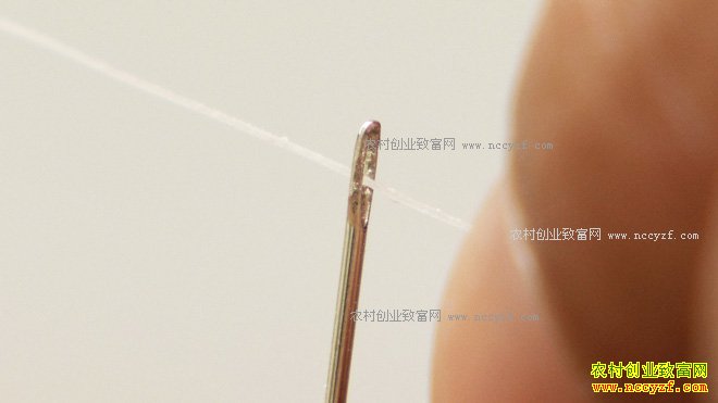 [�¸���]��������������ΰ�������Ĵ�Ƹ�