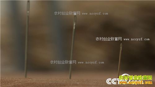 �¸�����С���۶���Ĵ�Ƹ�(20171205)