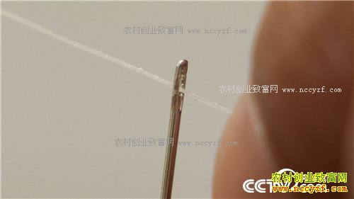 �¸�����С���۶���Ĵ�Ƹ�(20171205)