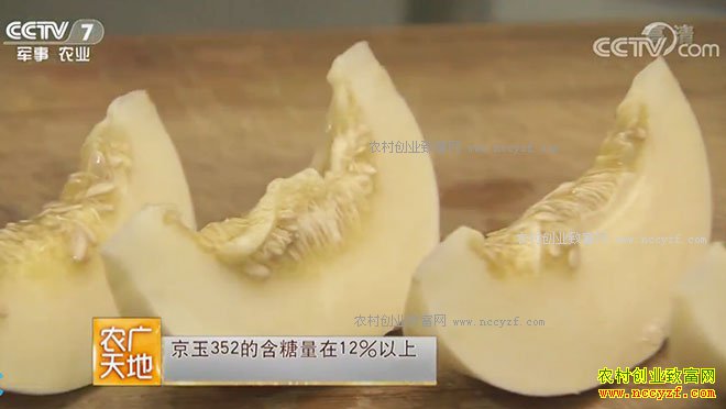 [ũ�����]��ɱ�˷䡱ѱ���ǣ���������ֳ���似����Ƶ