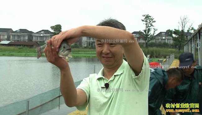 [�¸���]��������������ΰ�������Ĵ�Ƹ�