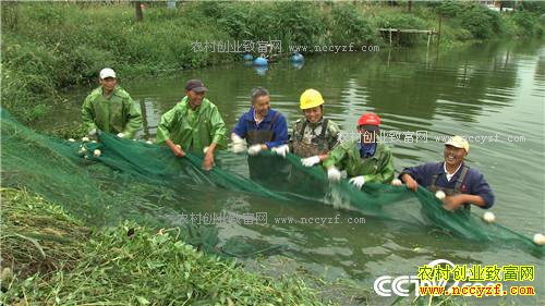 �¸�����Ƿծ���� �����ܲ��㡱��׬ǧ��(20171206)