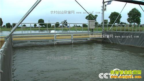 �¸�����Ƿծ���� �����ܲ��㡱��׬ǧ��(20171206)