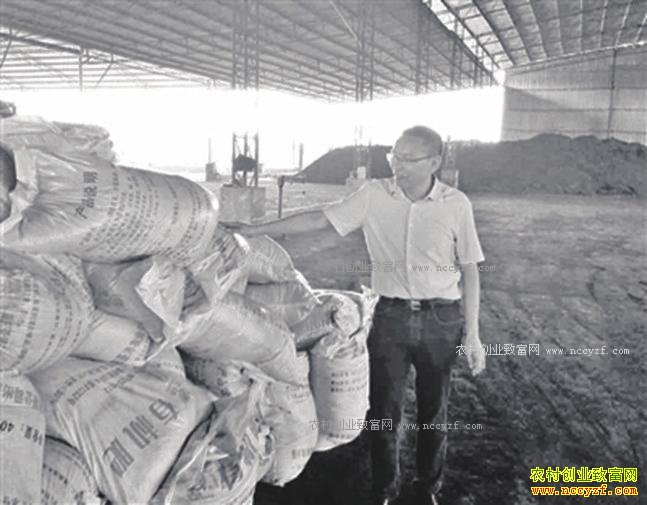 ������������ƽ����Ƥ���ӹ��л���Ч���