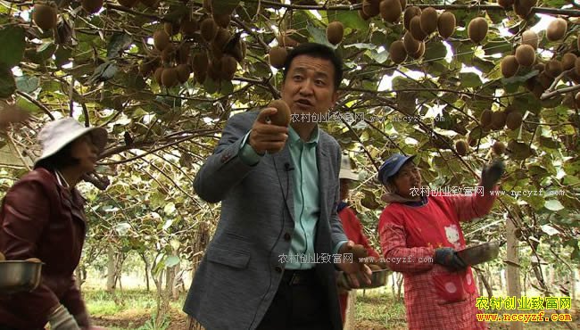 �¸���������ü�������ֲ⨺��Ҵ�������Ƹ�