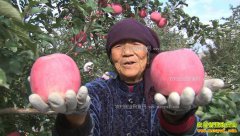 [�¸���]���ҹ��������ɽ ����ׯ���ع��ȿ�ƻ������׬Ǯ