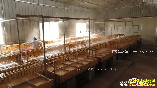 ���ڹ��� �¸�Ů��һ���̳�7000��