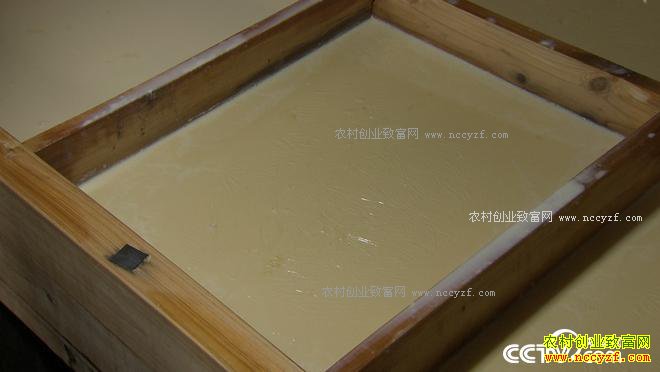 ���ڹ��� �¸�Ů��һ���̳�7000��