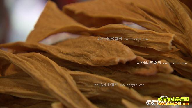 ���ڹ��� �¸�Ů��һ���̳�7000��