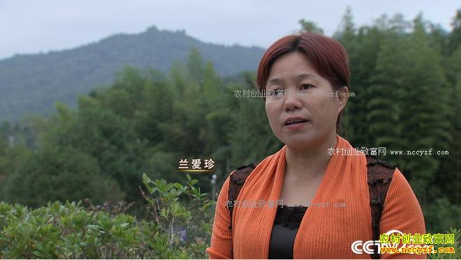 ���ڹ��� �¸�Ů��һ���̳�7000��